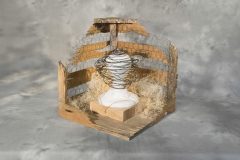 GailBooth_Extraction_HM